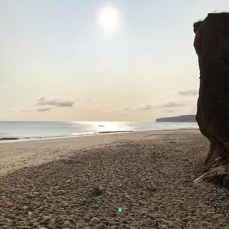 Paws And Relax - Part Of The The Bay Village With Pool, Gym And Direct Access, Pub, Restaurant, Tennis And Meadows Walks Filey